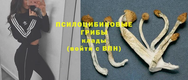 эйфоретик Кинешма