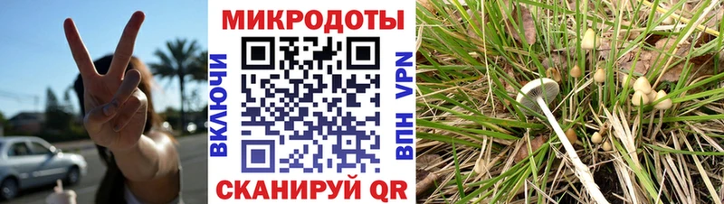 Купить где  Красноперекопск  Псилоцибиновые грибы GOLDEN TEACHER 
