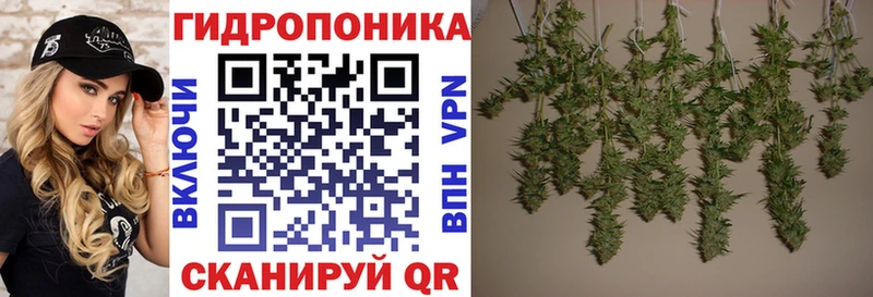 Бошки Шишки тримм  Купить закладки  Красноперекопск 